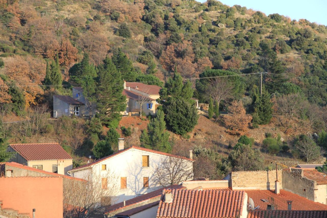 Gites-Terroirs-Occitanie Grenache Felluns Экстерьер фото